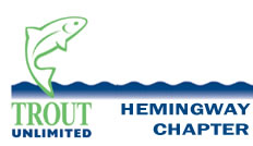 Hemingway Chapter - Trout Unlimited